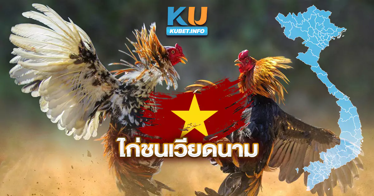 ไก่ชนเวียดนาม