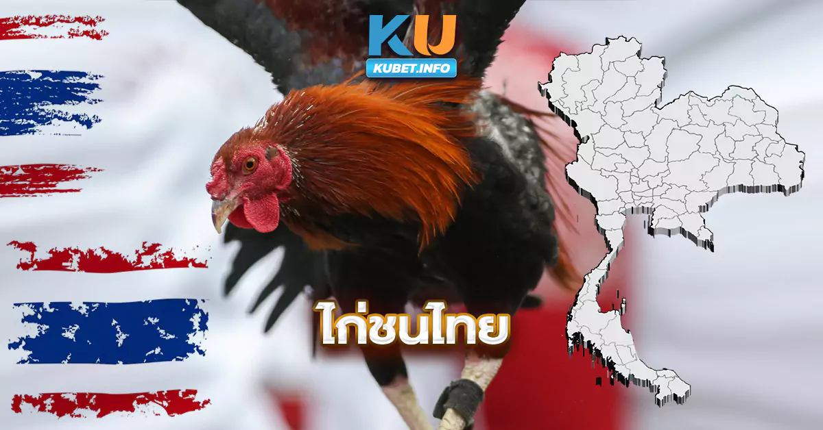 ไก่ชนไทย